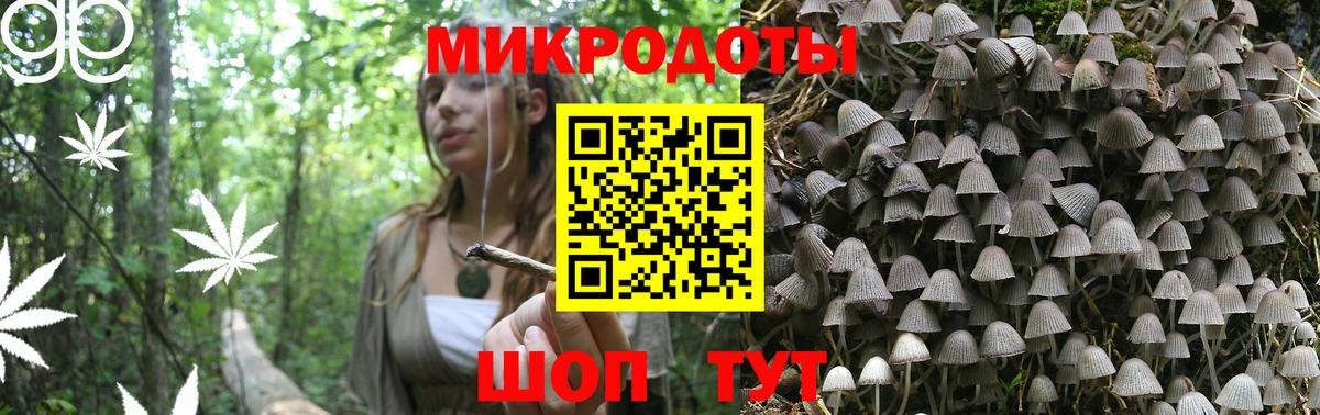 Псилоцибиновые грибы Magic Shrooms  Вход с VPN  Артём 